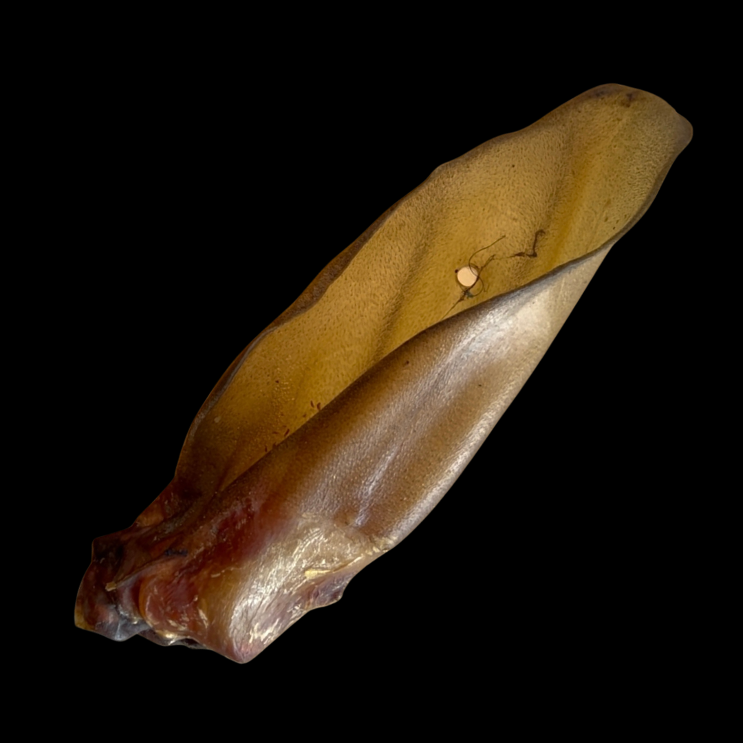 Buffalo Ears (3pcs)