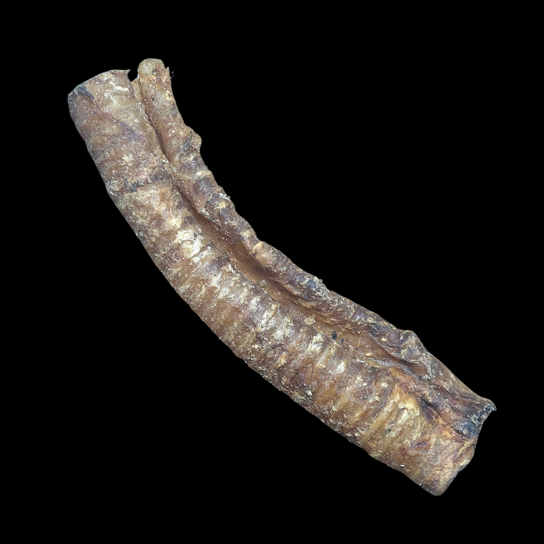 Whole Buffalo Trachea (3pcs)