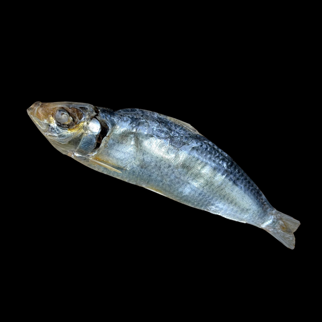 Large Dried Sprats (80g)