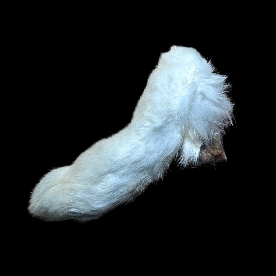Rabbit Feet (5pcs)