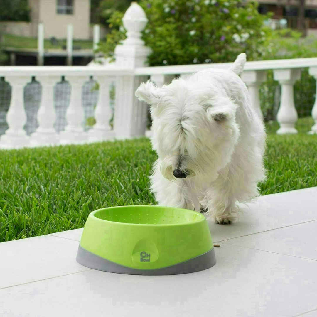 LickiMat OH Bowl (Medium) - Tongue Cleaning & Enhanced Oral Health