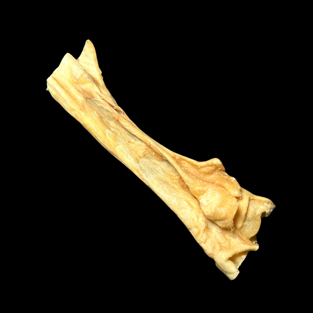Goat Scalp Skin (80g)