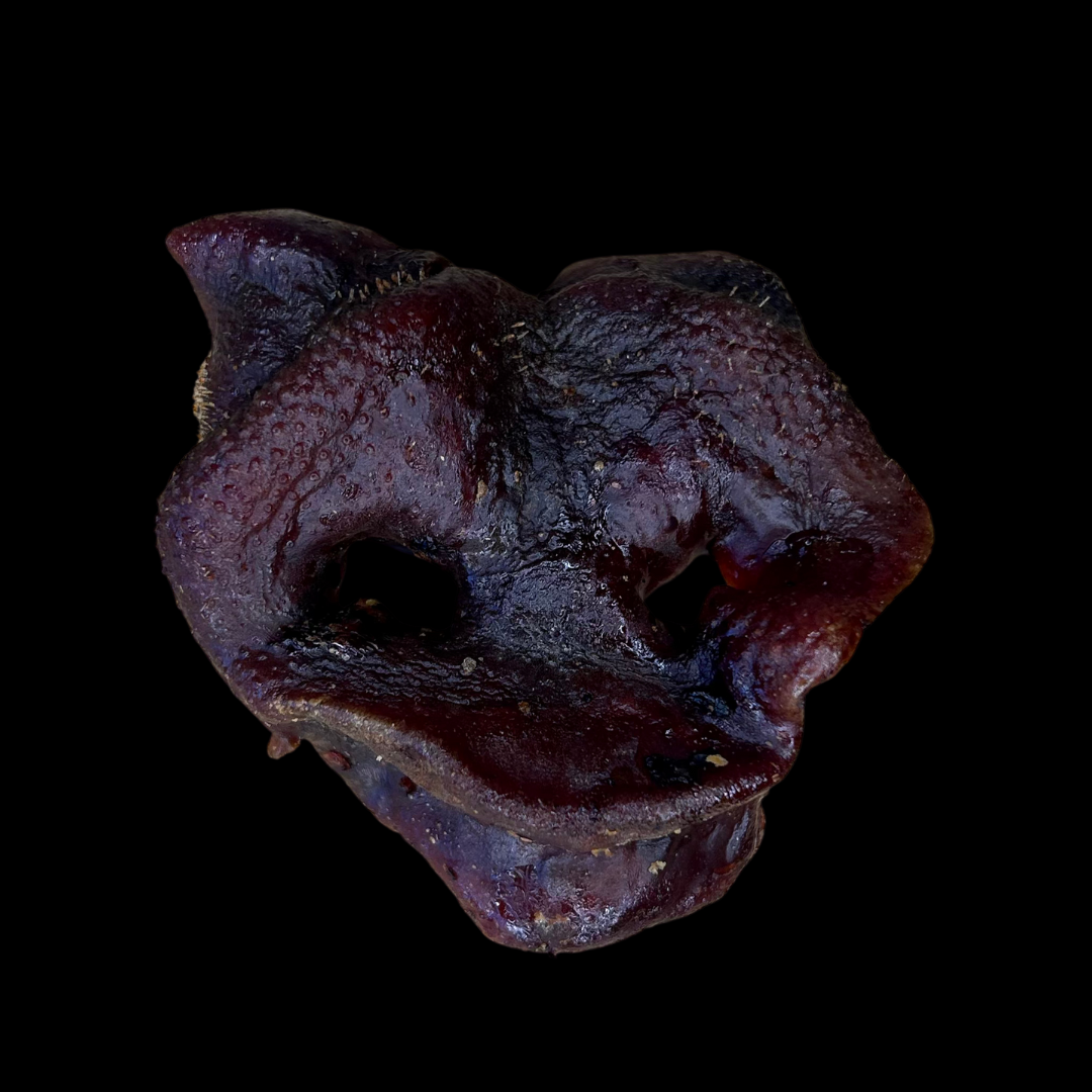 Hairy Pig Snouts (3pcs)