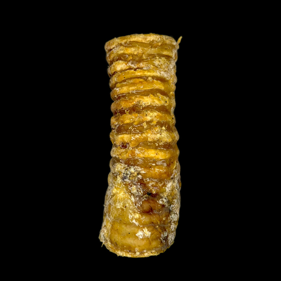 Beef Trachea (3pcs)
